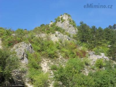 DSCN0613.JPG