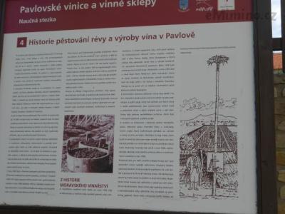 DSCN0712.JPG