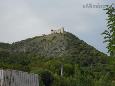 DSCN0677.JPG