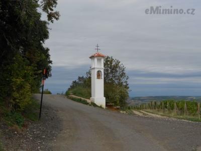 DSCN0682.JPG
