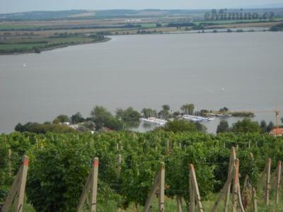 DSCN0685.JPG