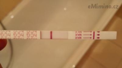 IMG_20150925_054728.jpg