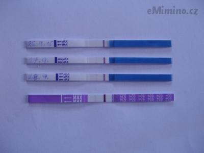 testování 3 (2).JPG