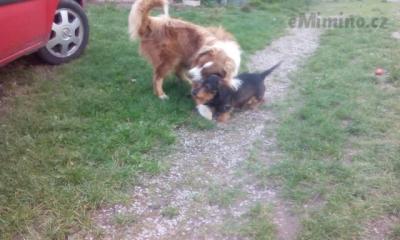 IMG_20150927_163918.jpg