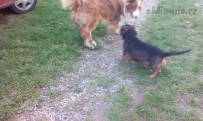 IMG_20150927_163915.jpg