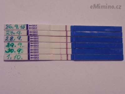 testování 5.JPG
