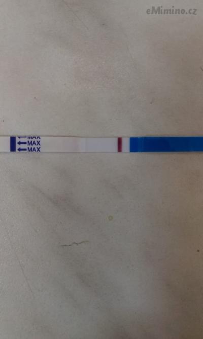 IMAG1124.jpg
