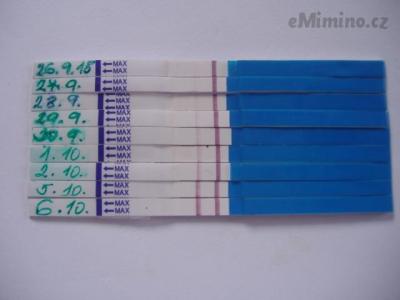testování 8.JPG