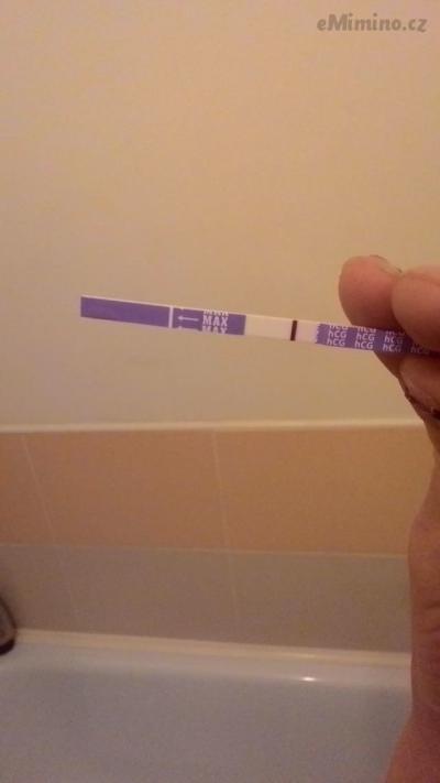 moje 2015 10 003.jpg