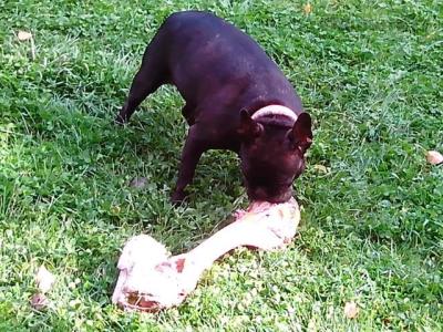 IMG-1445168068702-V.jpg