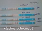 380496_165.jpg