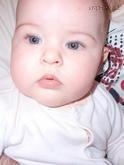 2561096_165.jpg