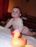 4179420_165.jpg