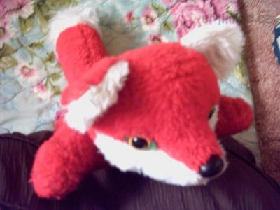 PICT0058.JPG