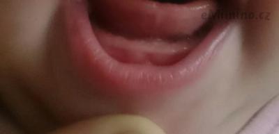 _20151026_155250.JPG