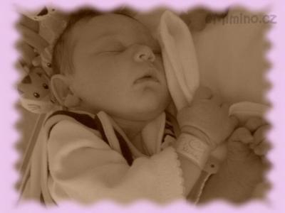 IMG_0110 upr..jpg