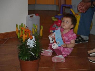 1681119_720.jpg