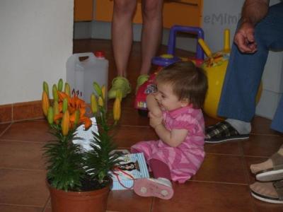 1681127_720.jpg