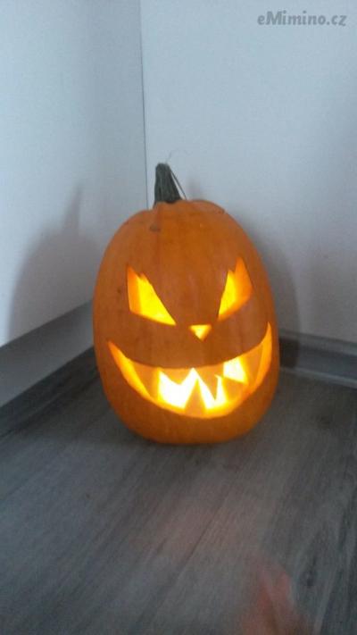 20151030_102120.jpg
