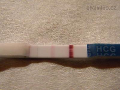 13 DPO.jpg