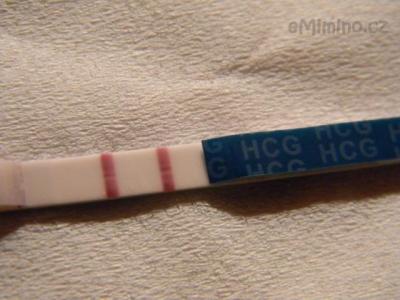 19 DPO.jpg