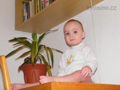 DSCF6355.JPG