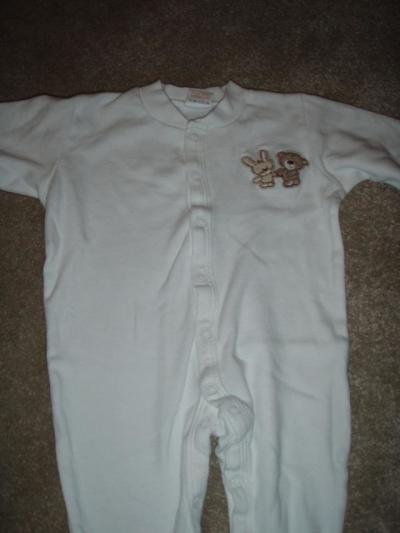 P3120028.JPG
