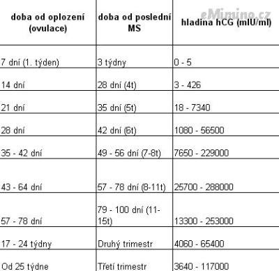 JqXPSTJw7LP_s720x720.jpg