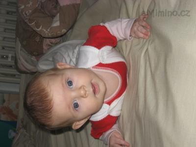IMG_0684.JPG