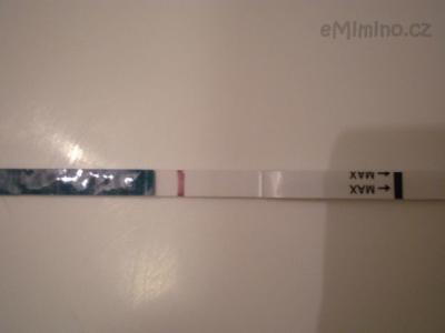 miniduch??