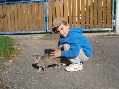 Září