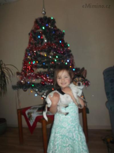 DSCF6485.JPG