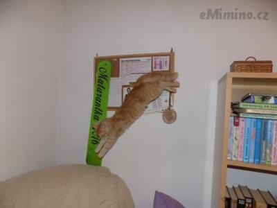 DSCN1733.JPG