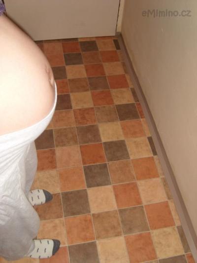SL272743.JPG
