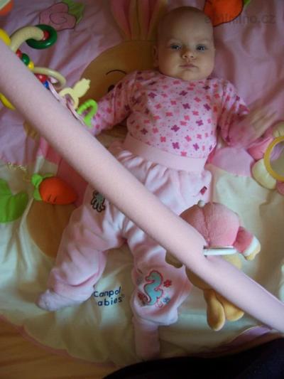 100_3054.JPG