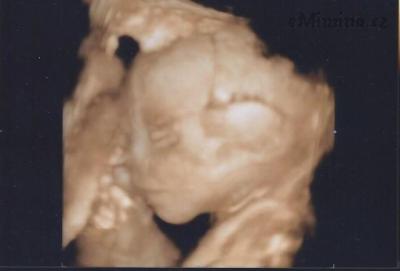 scan 24+1.jpg