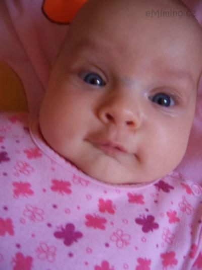 100_3060.JPG