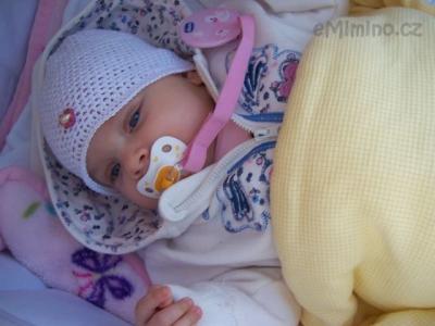 100_3081.JPG