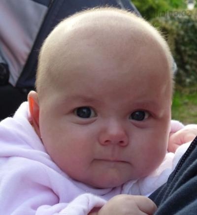 SAM_0910.JPG