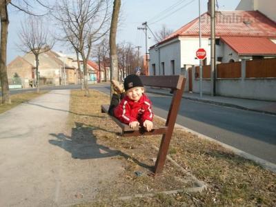 z DOPOLEDNI PROCHAZKY