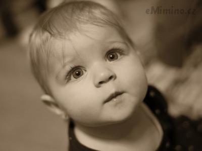 DSC_0136bb.jpg