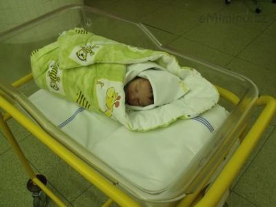 30. 3 2011 - 1. den