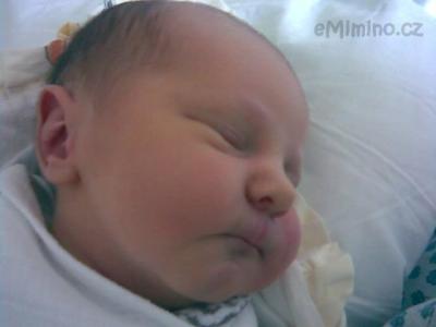 05.jpg