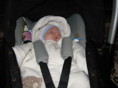 Alesek 26.3.2011 001.jpg