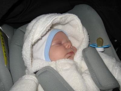 Alesek 26.3.2011 003.jpg