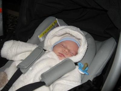 Alesek 26.3.2011 004.jpg