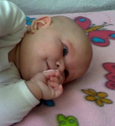 250320112785.jpg