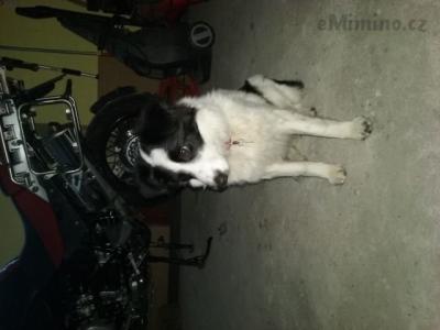 20160121_164234.jpg