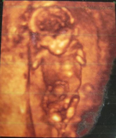 PICT2137.JPG