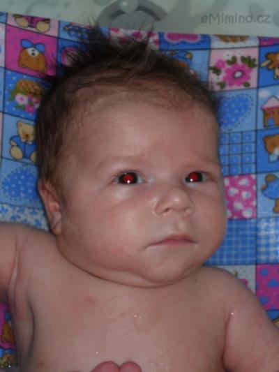 SAM_0667.JPG